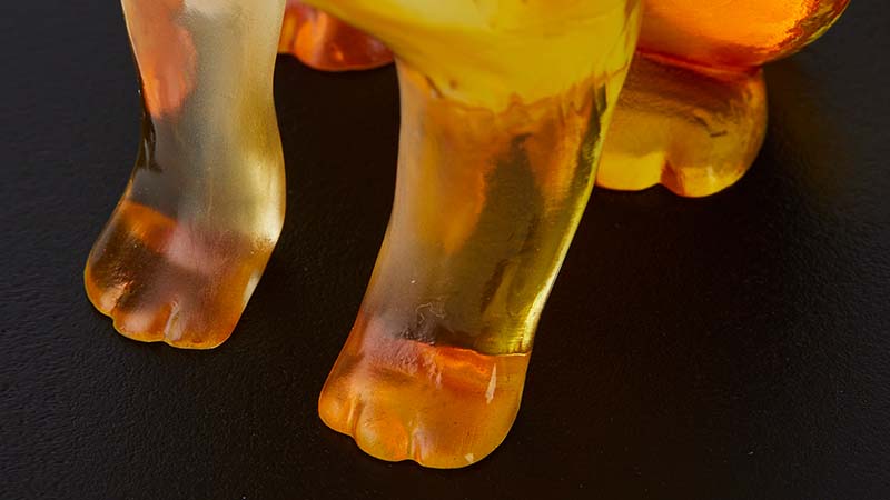 イスム 子犬～Premium～