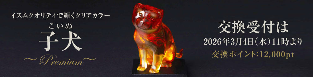 ������ �Ҹ���Premium��