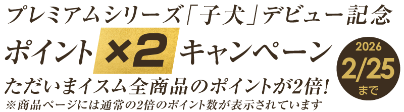 続 日本曼荼羅 HAKUジクレ pop'n Buddha | 仏像フィギュアのイスム