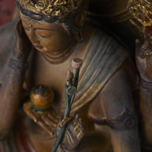 TanaCOCORO[��] ǡ���شѲ�