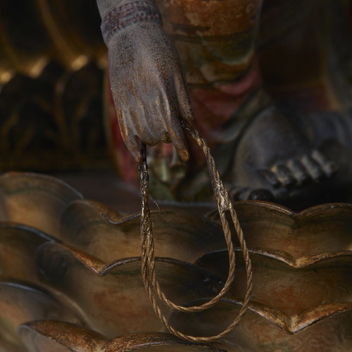 TanaCOCORO[��] ǡ���شѲ�