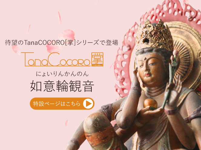 TanaCOCORO[��] ǡ���شѲ�