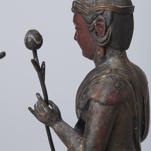 TanaCOCORO[��] ����ãƸ��