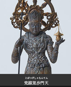 ʩ���ե����奢��TanaCOCORO[��]����������ŷ